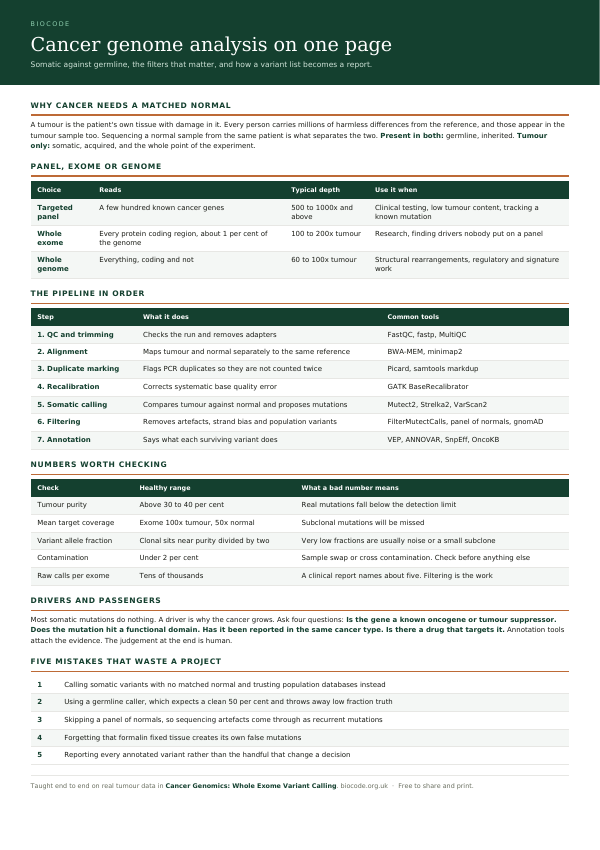The first page of the free immunology summary