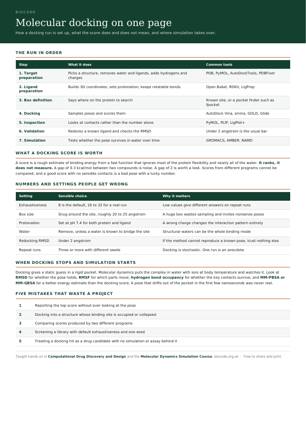 The first page of the free immunology summary
