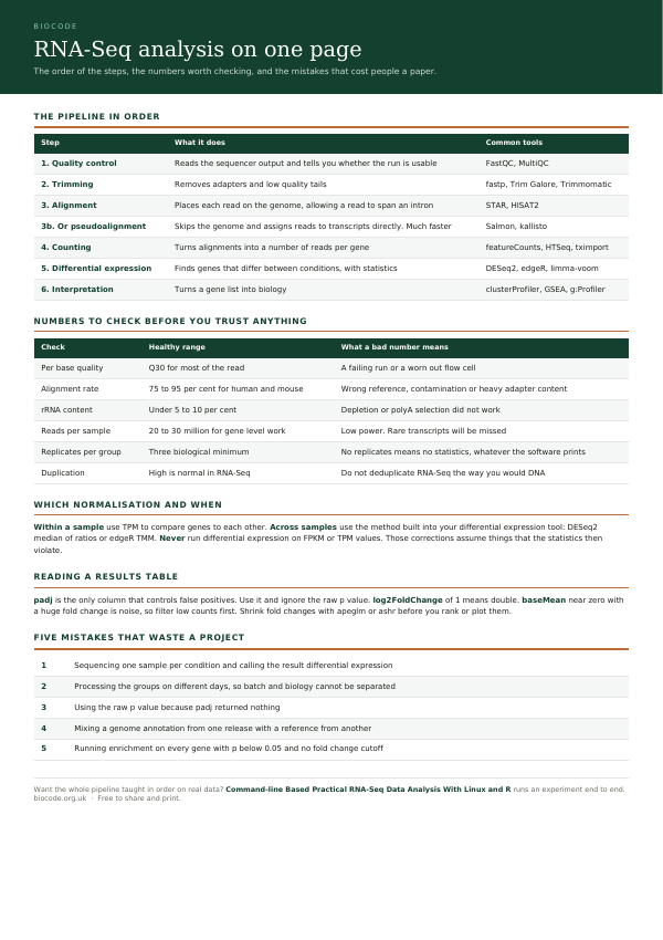 The first page of the free immunology summary