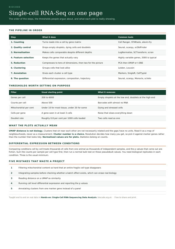 The first page of the free immunology summary