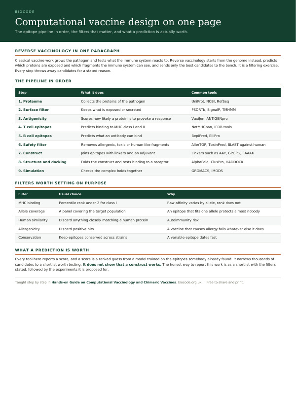 The first page of the free immunology summary